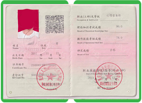 毕业证定制指南:2024年实用操作全流程教程